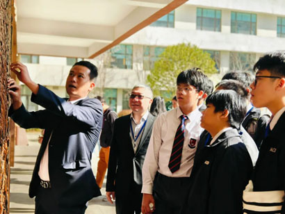 1724978905081006134.jpg 4974-3-9.jpg